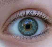 Acanthamoeba кератитис око: третман, симптоми, дијагноза