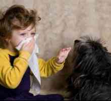 Алергии кај децата