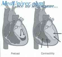 Срцева регулирање излез. механизам Старлинг