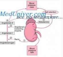 Абнормални развој на кариес ембрионот тело. Патологија на фетусот шуплини на телото