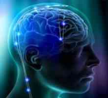 Intermeningeal арахноидалните систем на мозокот