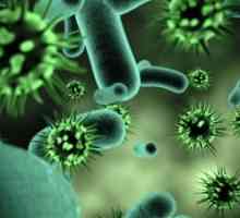 Бактериски инфекции