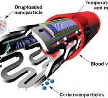 E bioresorbable стент со наночестички