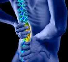 Болки во грбот: причини, третман