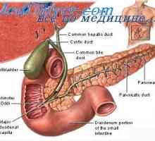 Колор доплер ултразвук ектопична бременост. Лажни јајце клетката ектопична бременост