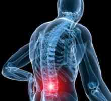Физиолошки болка во грбот