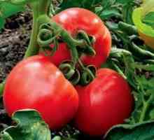 Генетика домати