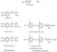Хормони - деривати на амино киселина