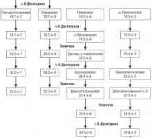 Механизмите на варење и апсорпција на масти (липиди)