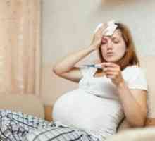 Инфекции во текот на бременоста: третман, симптоми, знаци, причини