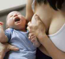 Интерстицијална белодробна болест кај новороденчињата