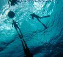 Историјата на длабоко морето нуркање. Физиологија заситен Scuba нуркаат