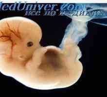 Ембриологија. Историја на ембриологија