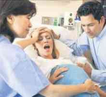 Ендокрина контрола на породување