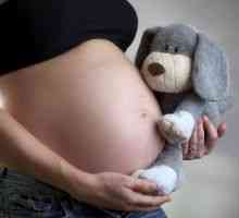 Ендометритис при породување, третман, симптоми, причини