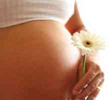 Како да се подготват за бременост