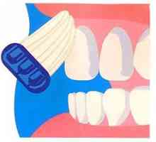 Како да се четкаат забите со четка за заби
