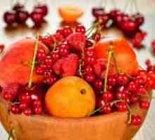 Што плодови може да се јаде со дуоденален улкус?