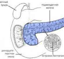 Кои се хормони произведени од страна на панкреасот?