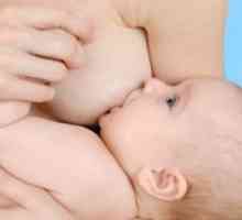 Хранење на бебето во првата година од животот