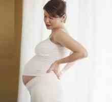 Рубеола во текот на бременоста, за време на бременост: симптоми, знаци, третман, причините,…