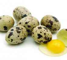 Третман на гастритис суровини плаша јајца