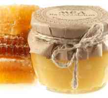 Третман gastroduodenitis мед и прополис