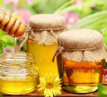 Третман на дуоденален улкус со мед и прополис