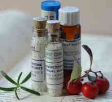 Третман на дијареа (пролив), хомеопатијата