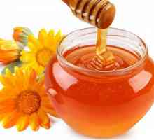 Третман на ракот на желудникот со мед и прополис