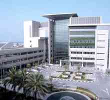 Третман во Обединетите Арапски Емирати американската болница во Дубаи