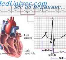 Дистрибуција на електрична струја околу срцето. ЕКГ околу срцето