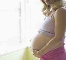 Мерки на претпазливост за време на бременоста