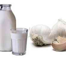 Млеко со лук против глисти кај деца и возрасни, како да се пие?