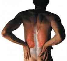 Грчеви во мускулите на грбот (лумбална)