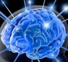 Глијални систем на мозокот