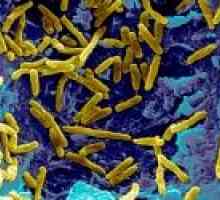 Нетуберкулозна mycobacteriosis