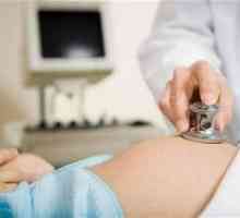 Амнионската течност во текот на бременоста да се тестира истекување на вода за време на бременоста,…