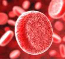 Одредување на бројот на тромбоцити во крвта
