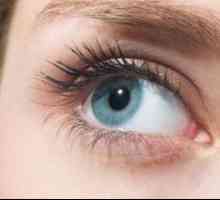 Оптичкиот систем на човечкото око и нејзините промени поврзани со стареењето
