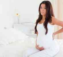 Пиелонефрит (гестациски, хронична) за време на бременоста, лекување, симптоми, знаци, причини