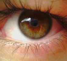 Пигментна дегенерација на третман на око на ретината