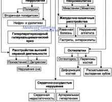 Хиперпаратироидизам и остеодистрофија paratirioidnaya. Фиброцистични остеитис и болеста на фон…