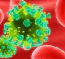 Рак кај ХИВ-инфицирани