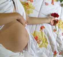 Повреди на гениталиите за време на бременоста