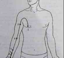 Локација и анатомија на точки на телото за аромотерапија. меридијан перикардот