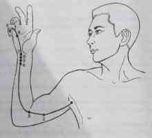 Локација и анатомија на точки на телото за аромотерапија. срцето Меридијан