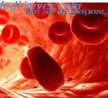 Еритроцитите. Структурата и составот на црвени крвни клетки