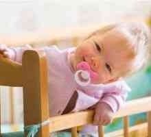 Развојот на бебето на патот од зигот на новороденчето