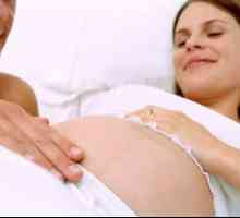 Улогата на придружник за време на породувањето